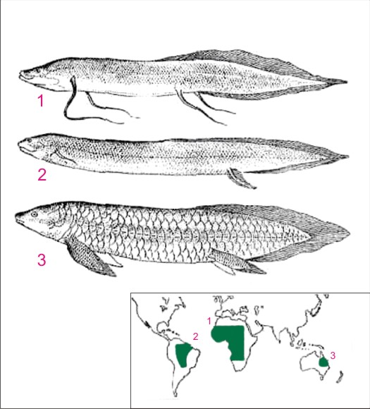 Картинка с форума